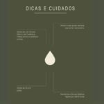 Óleo Concentrado — Lavanda Absoluta 20ml - Imagem 2